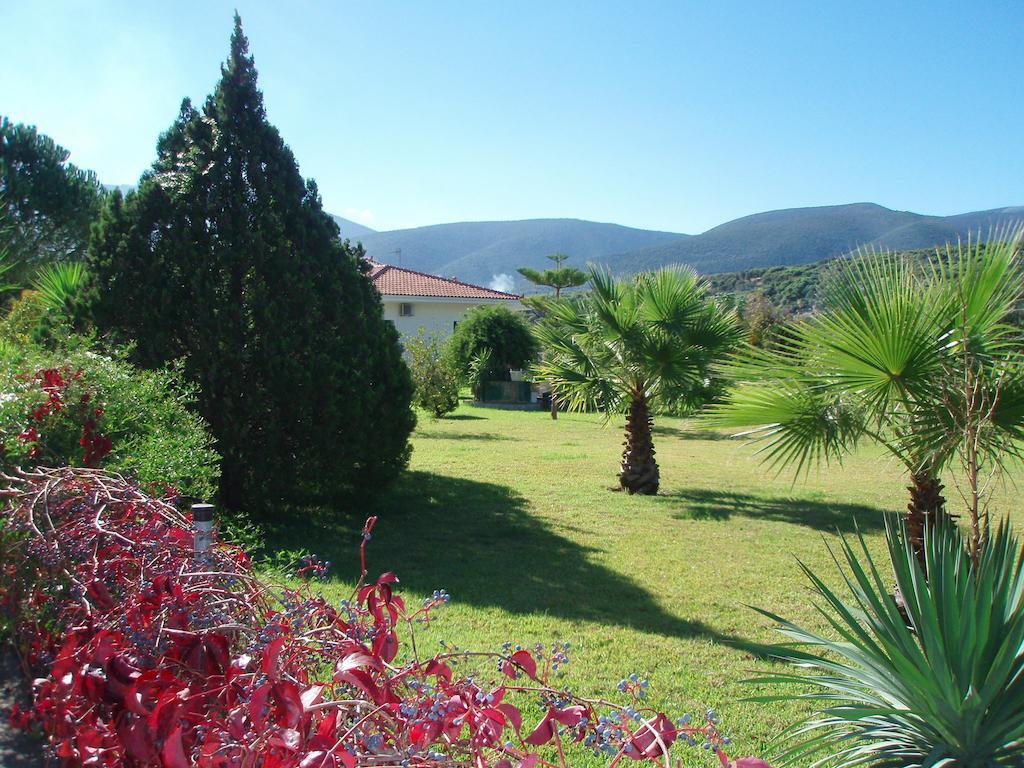 Finikes Studios Kefalonia Sami  Exterior foto
