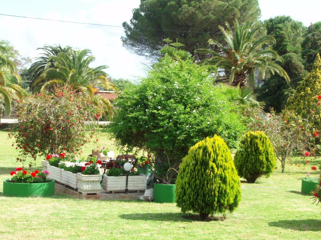 Finikes Studios Kefalonia Sami  Exterior foto